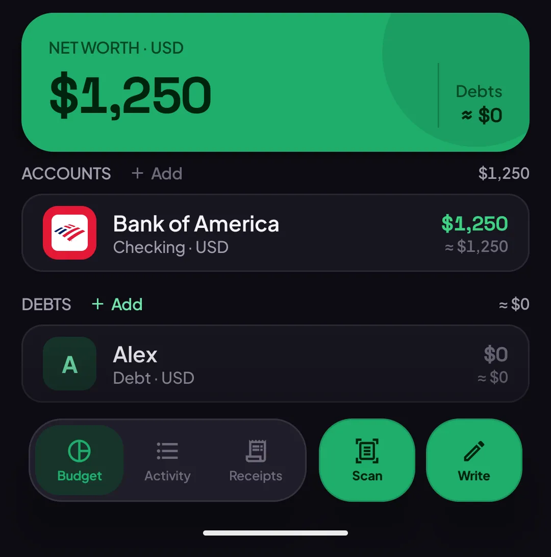 Debts section showing the new debt account listed under a real bank account